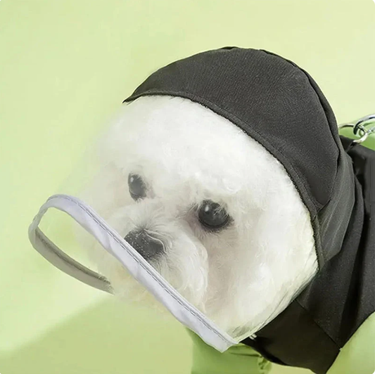 🔥 LIMITED-TIME 50% OFF! ⏰ Full-Coverage Pet Raincoat – Waterproof & Easy to Wear 🌧️