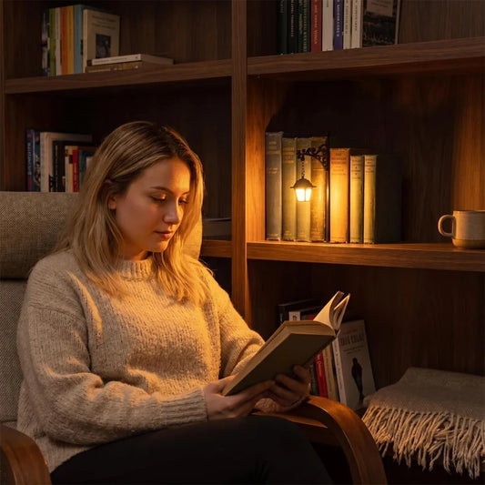 💡Library Lantern—Mini Bookshelf Lamp: A Home Decor Gift for Book Lovers
