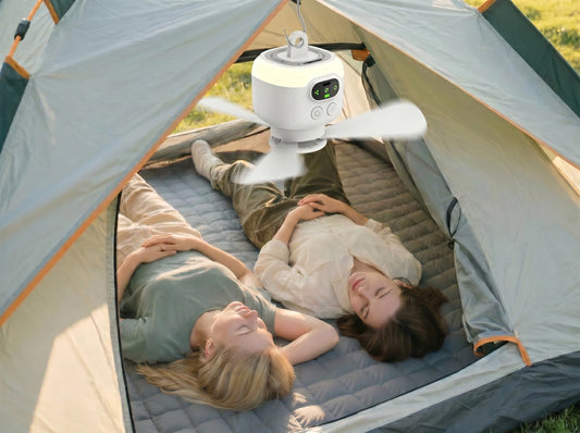 ⏰ Limited-time offer: 50% OFF a rechargeable ceiling fan with LED lights! 🌬️✨