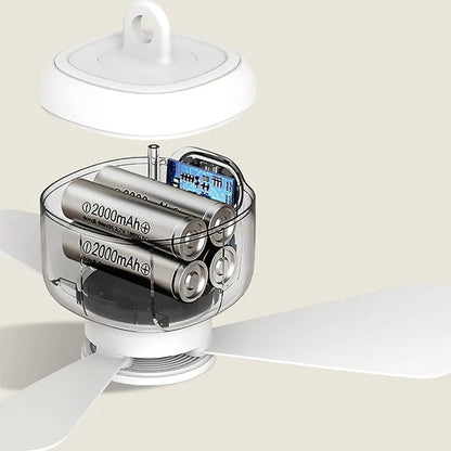 ⏰ Limited-time offer: 50% OFF a rechargeable ceiling fan with LED lights! 🌬️✨